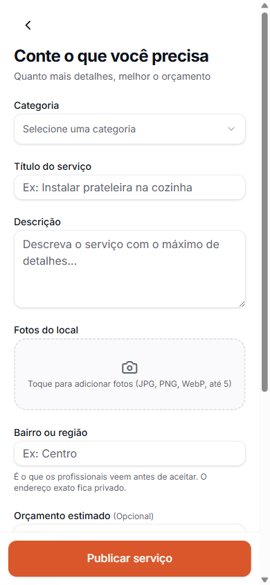 Tela de publicar um serviço no Lydar